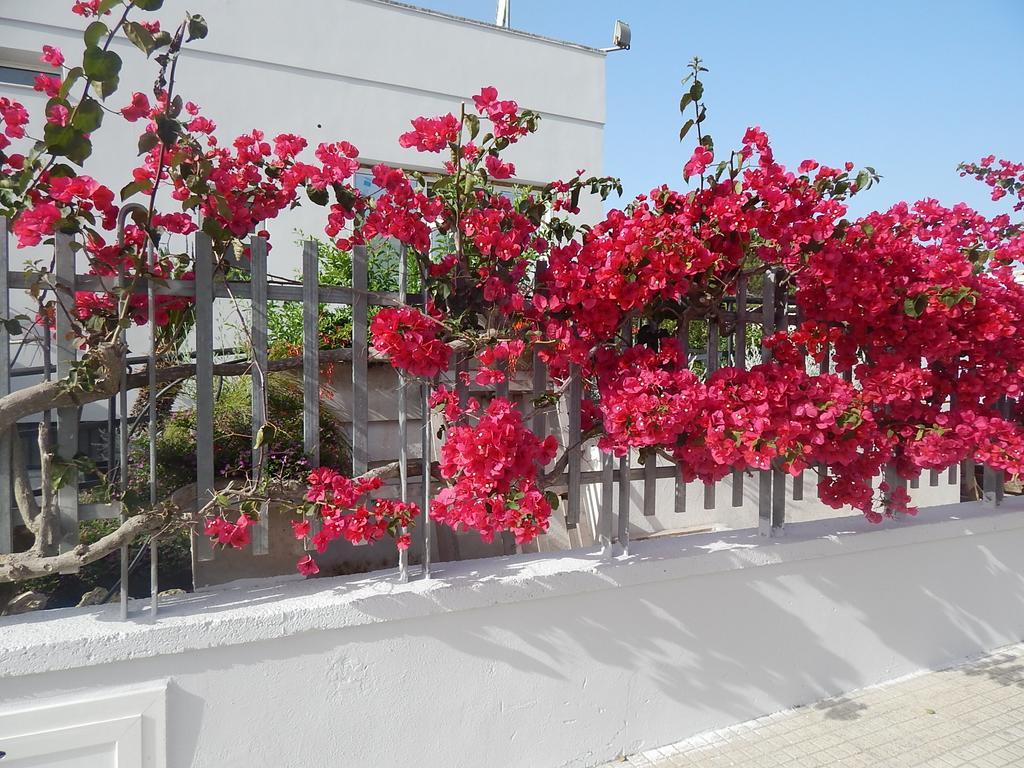 Monte Sant' Angelo Hotel Otranto Exterior photo